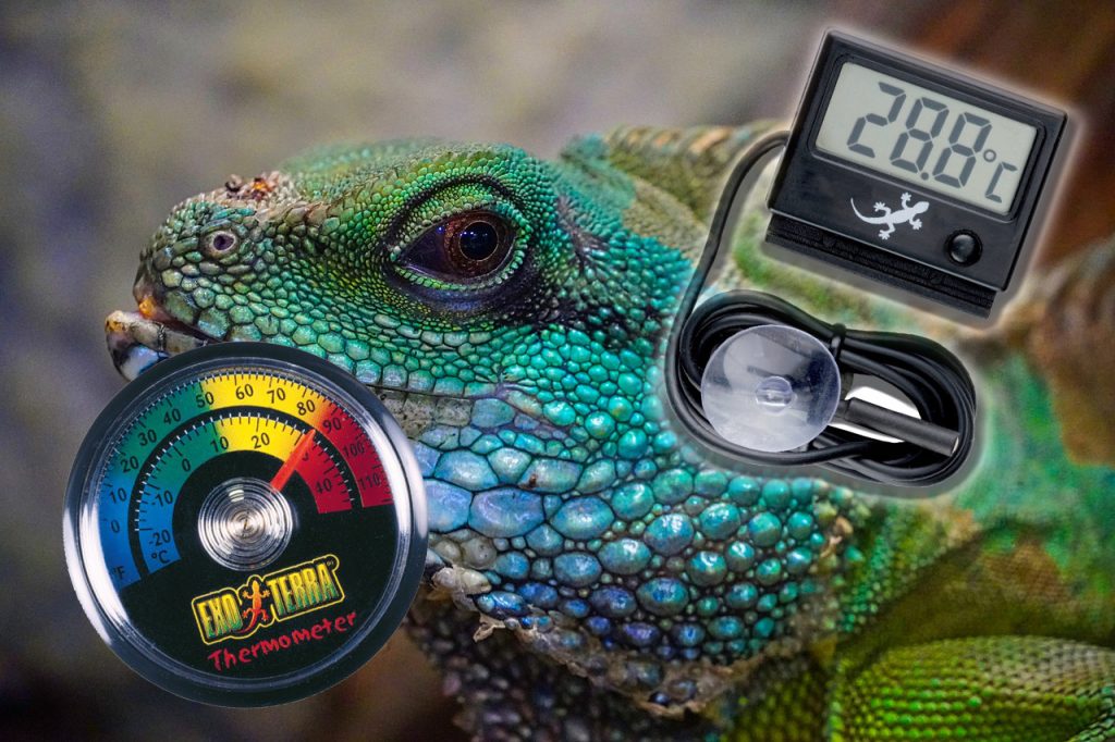 thermomètres pour terrarium