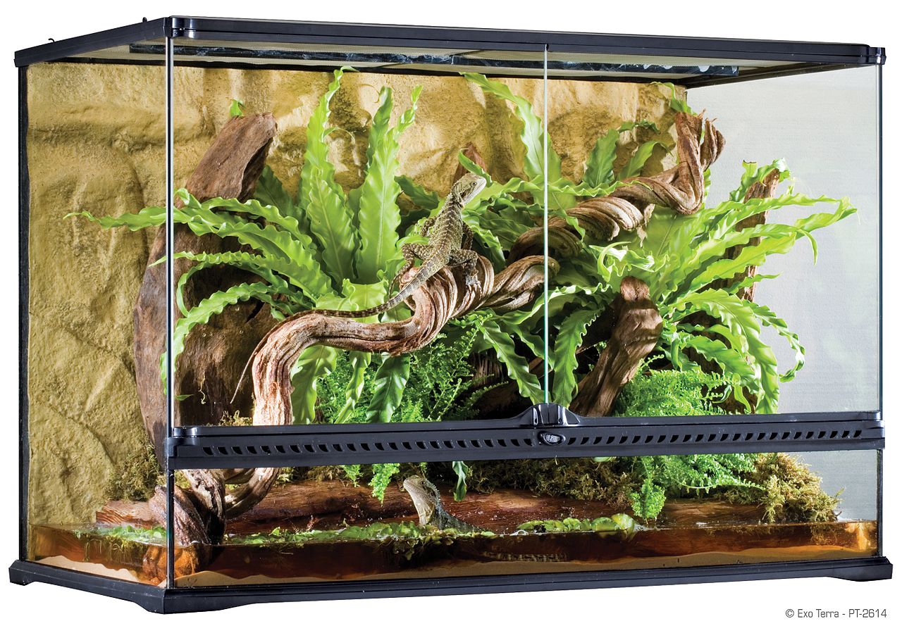 Terrarium