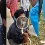 [Vidéo] Un homme se fait mordre par un Cobra après l’avoir embrassé