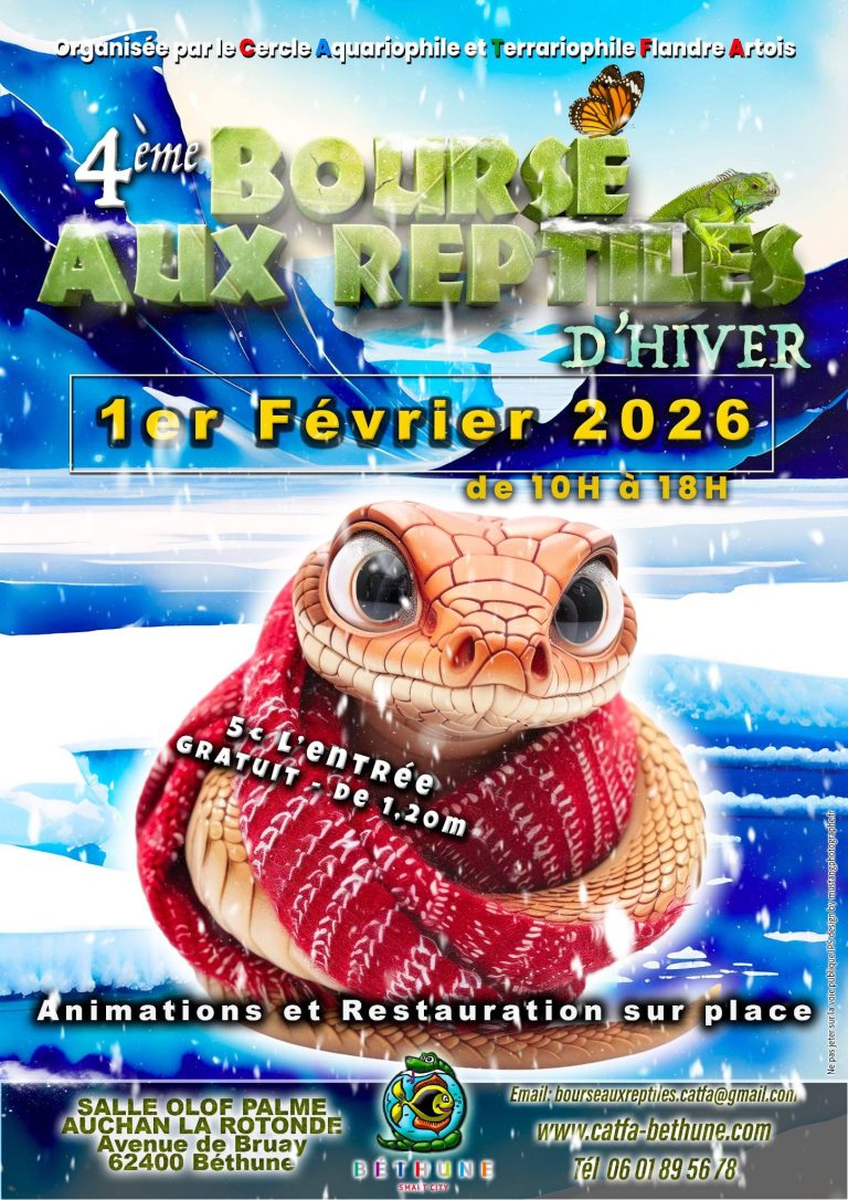 La 4ème bourse aux reptiles d&rsquo;hiver de Béthune se tiendra le 1er février 2026