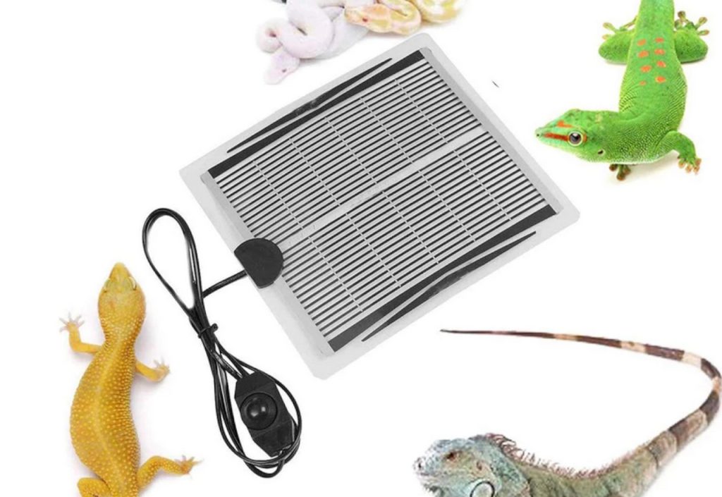 Découvrir les chauffages de terrariums