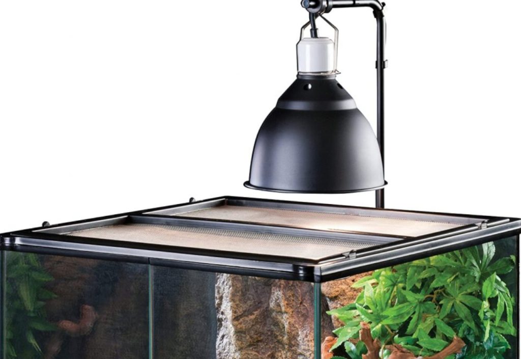 Découvrir les éclairages de terrariums