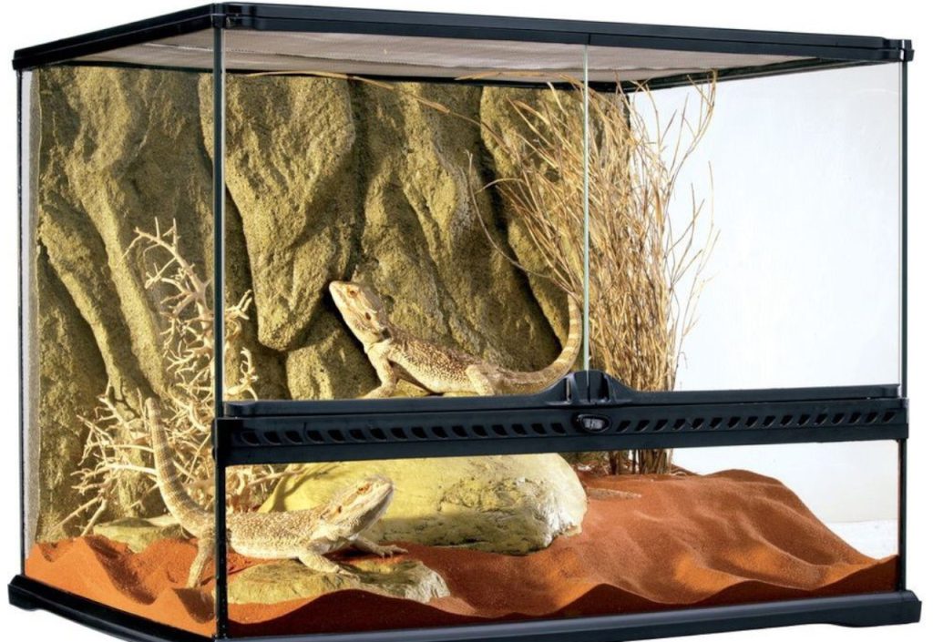 Découvrir les terrariums